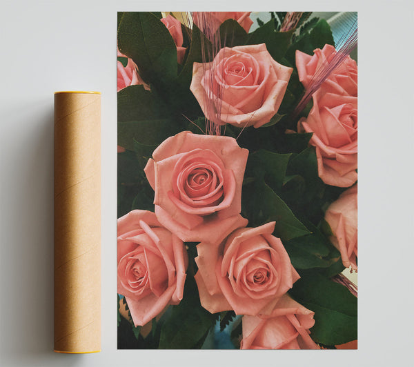 Blushing Rose Bouquet Print