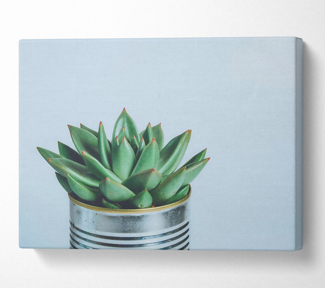  A Canvas Print of Green Succulent Bloom Canvas Art