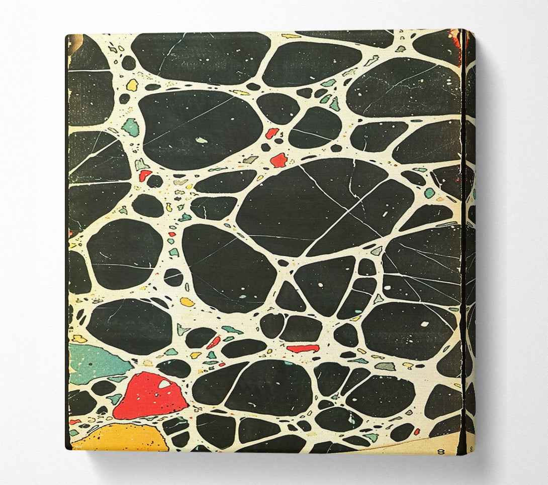  A Canvas Print of Black Webbed Abstract Canvas Art
