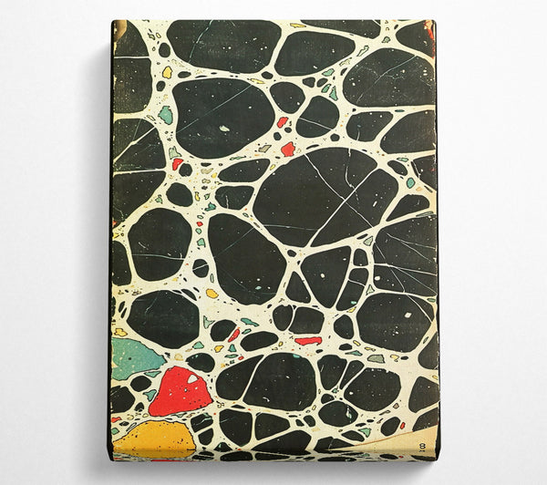  A Canvas Print of Black Webbed Abstract Canvas Art