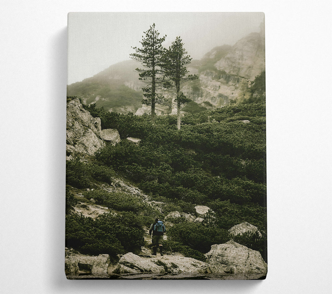  A Canvas Print of Green Mountain Solitude Canvas Art