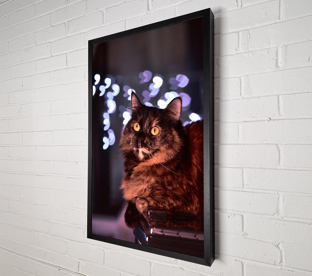  A Canvas Print of Golden Eyes & Lights Canvas Print
