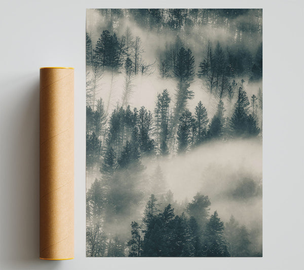 Gray Foggy Pines Poster