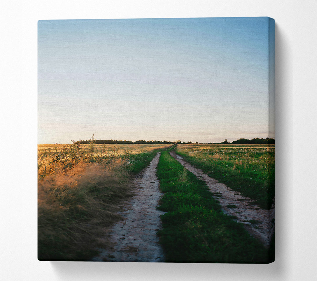  A Canvas Print of Golden Road Ahead Canvas Art