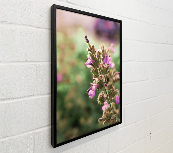 Pink Floral Stems