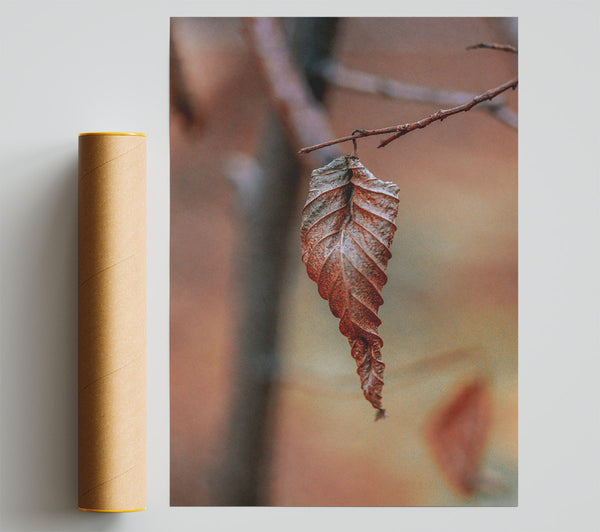 Crimson Leaf'S Last Stand Giclee Print