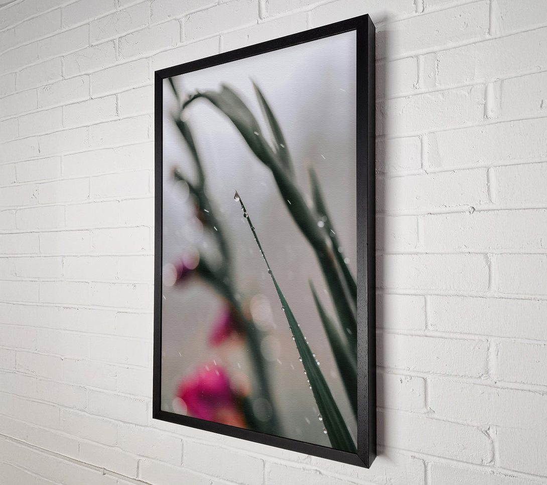  A Canvas Print of Green Dewdrop Reflections Canvas Print