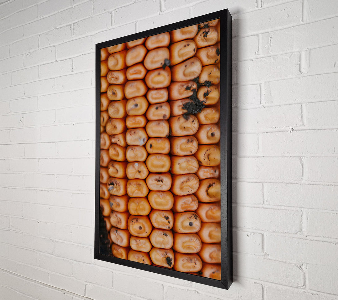 A Canvas Print of Golden Corn Kernels Canvas Print