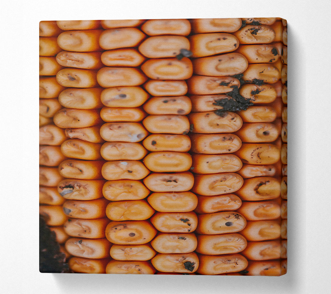  A Canvas Print of Golden Corn Kernels Canvas Print