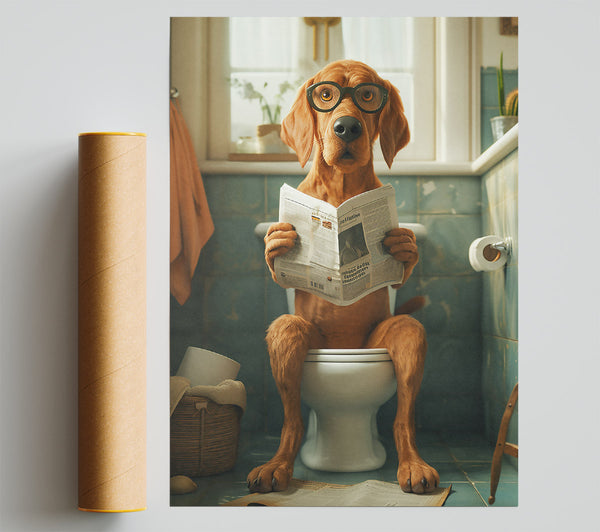 The Brown Newsreader Poster