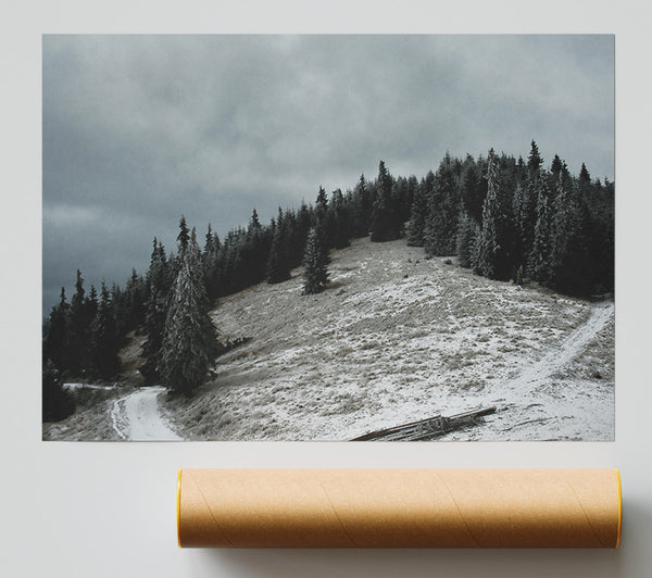 Grey Winter Path Print