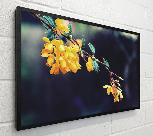 Golden Branch Blossoms