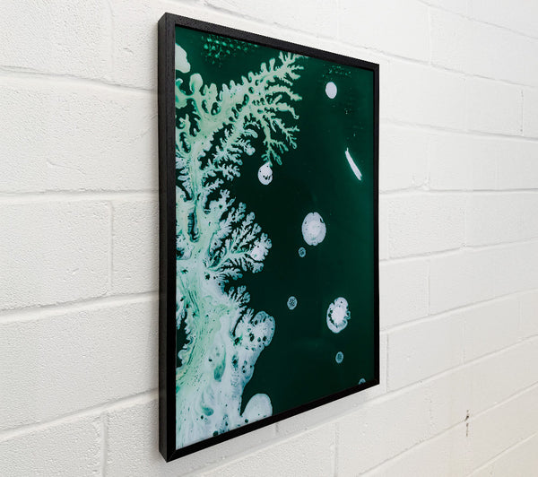 Emerald White Bloom