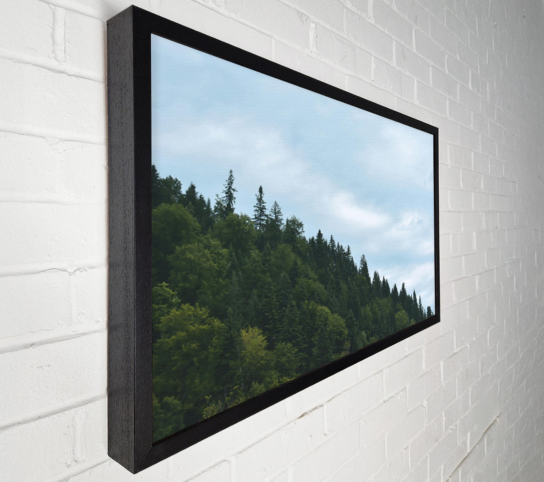  A Canvas Print of Azure Forest Skyline Canvas Wall Art