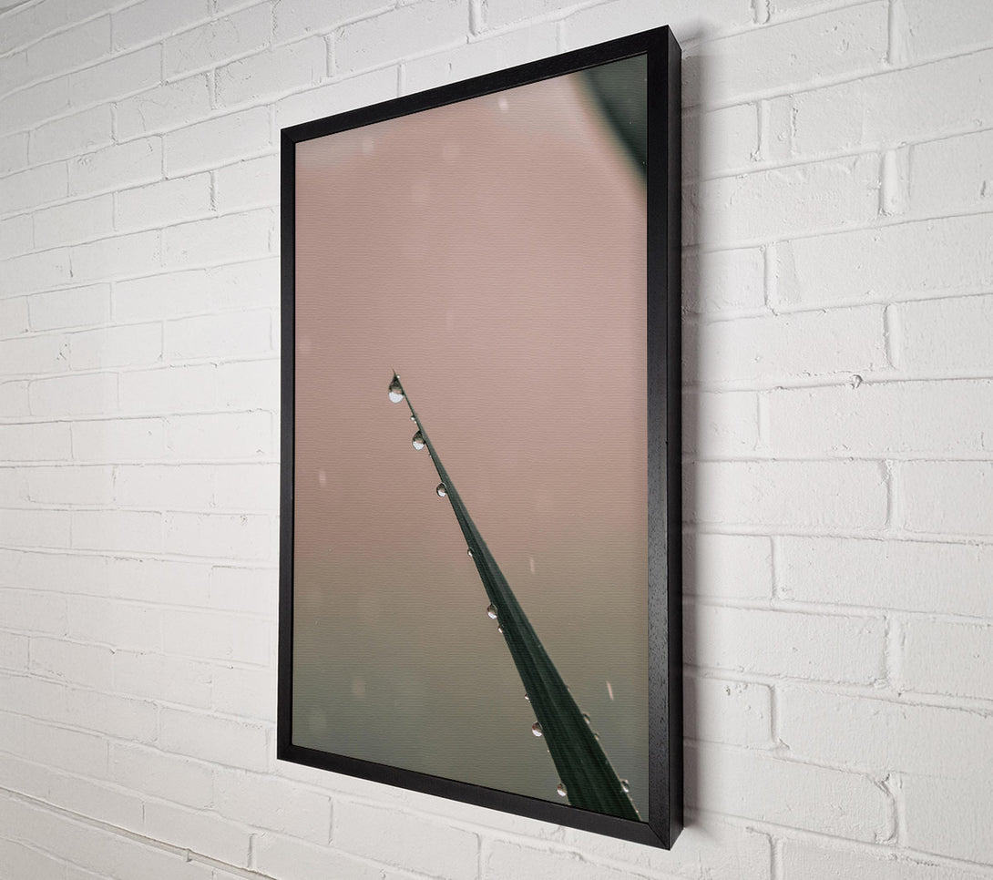  A Canvas Print of Dusky Dewdrop Symphony Canvas Art
