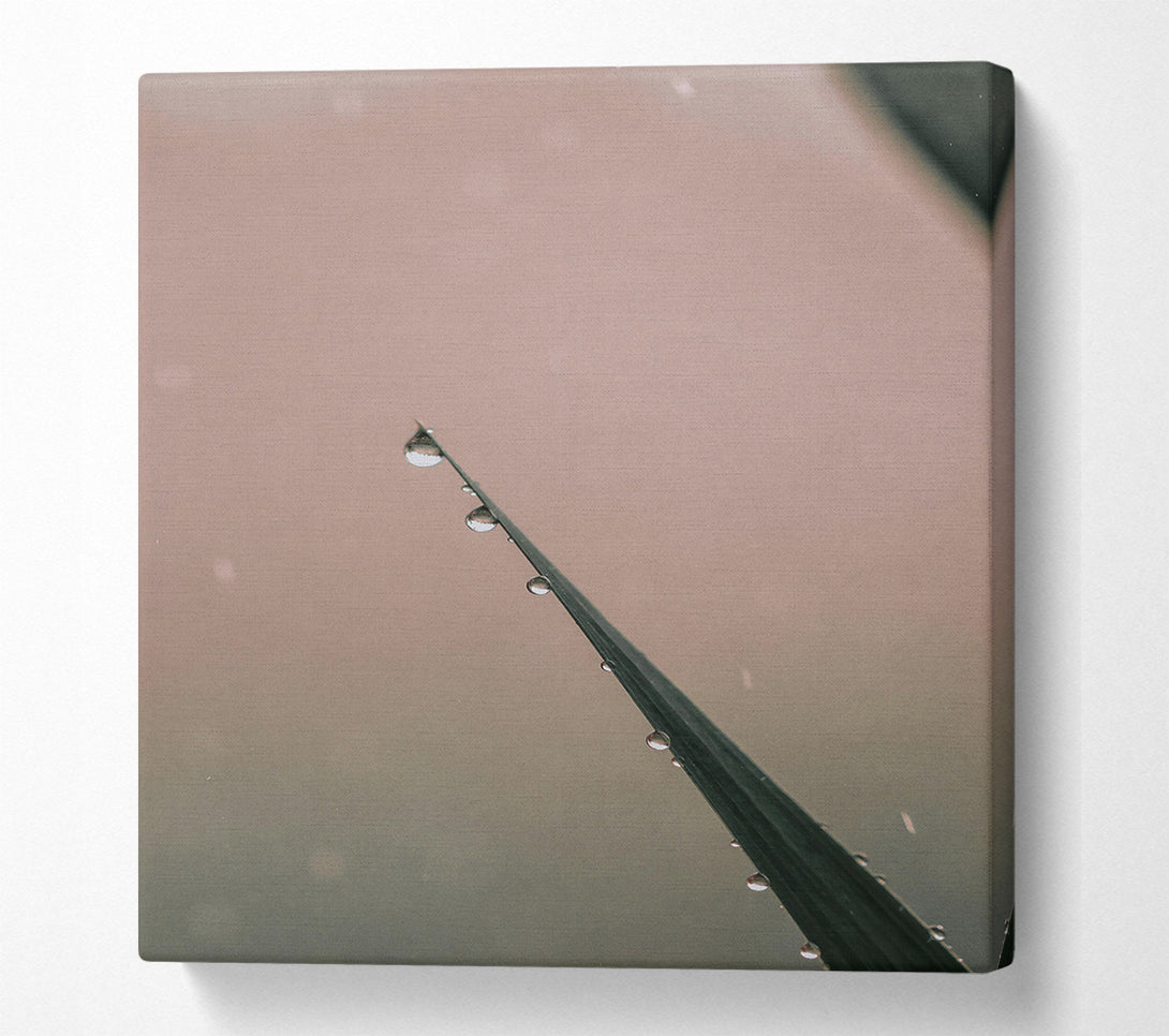  A Canvas Print of Dusky Dewdrop Symphony Canvas Art