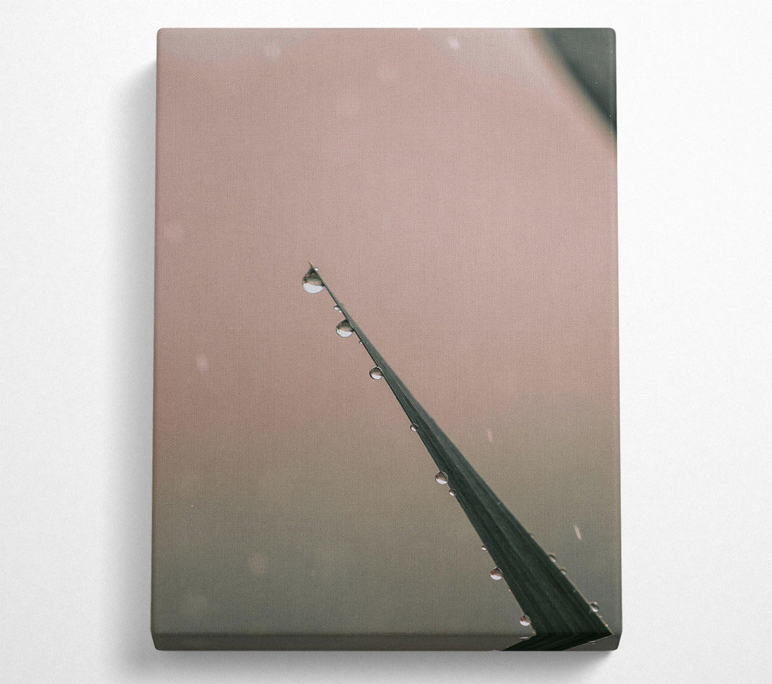  A Canvas Print of Dusky Dewdrop Symphony Canvas Art