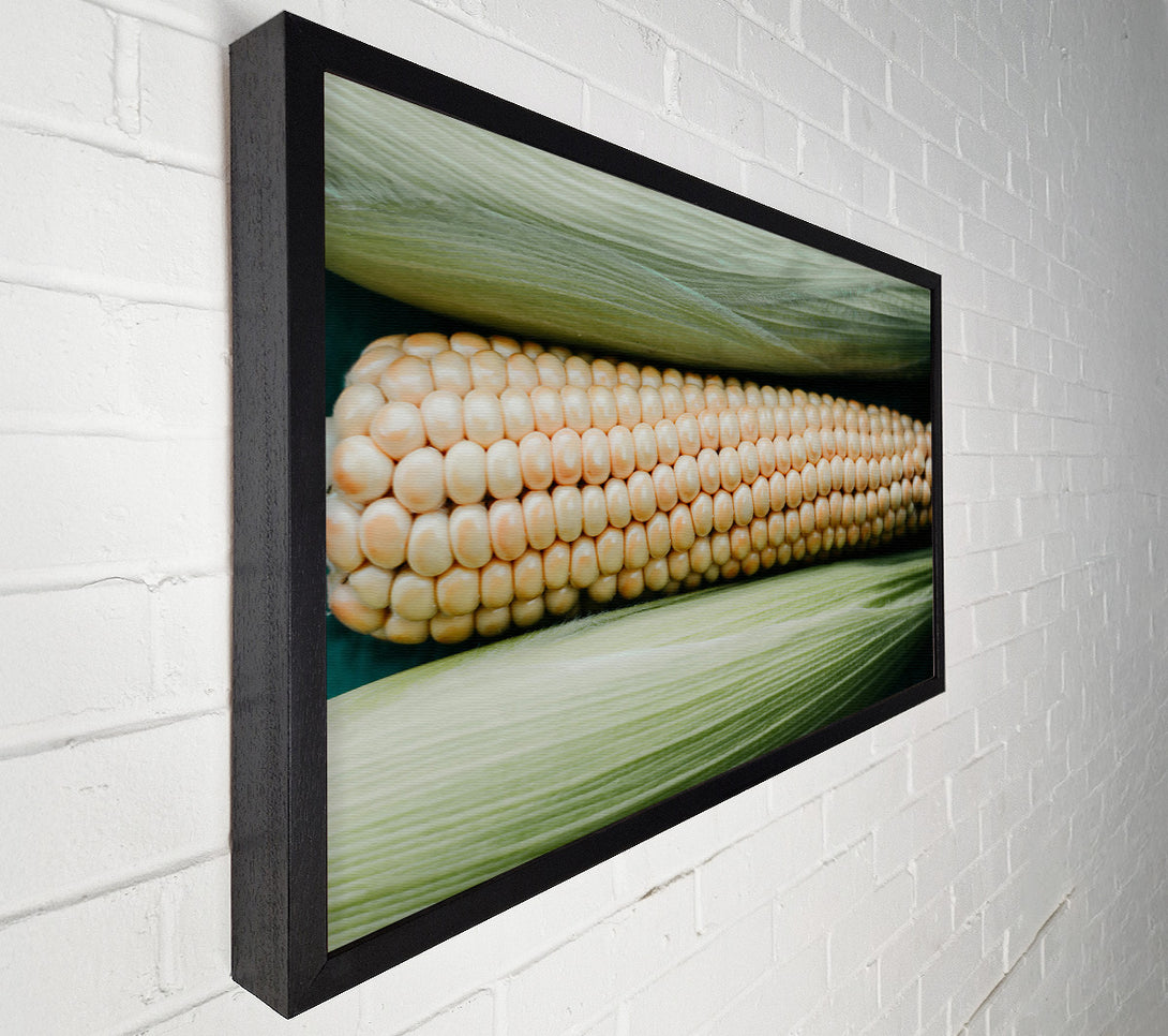  A Canvas Print of Creamy Corn Cob Rows Canvas Wall Art