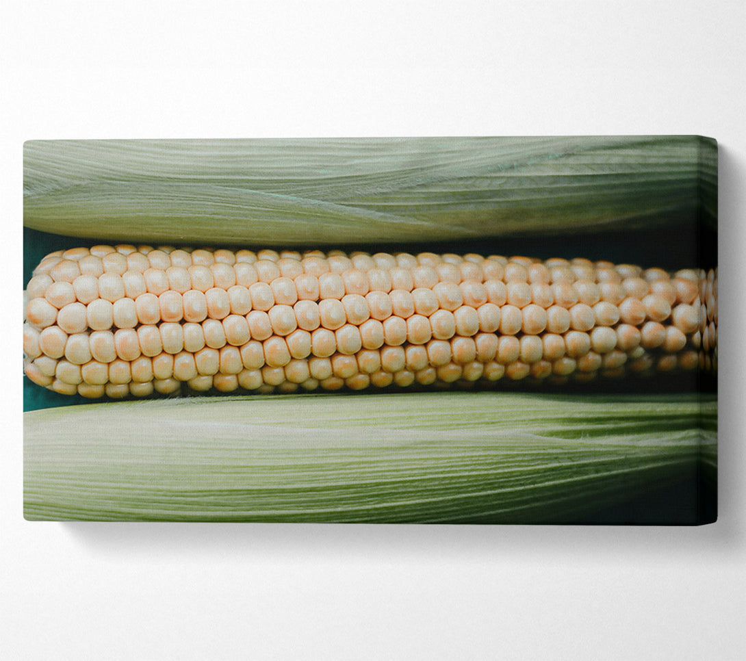  A Canvas Print of Creamy Corn Cob Rows Canvas Wall Art