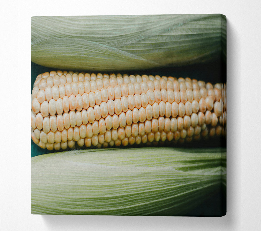  A Canvas Print of Creamy Corn Cob Rows Canvas Wall Art