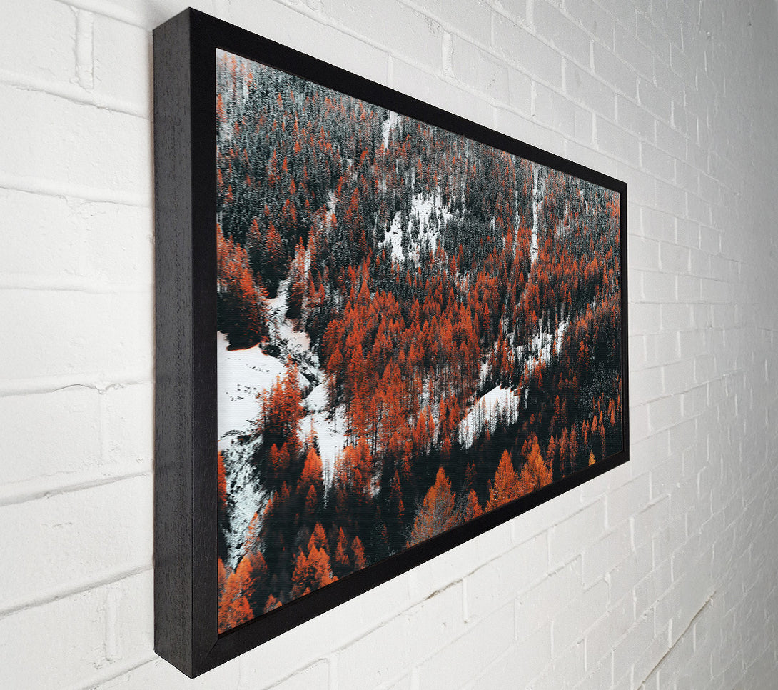  A Canvas Print of Orange Winter Forest Canvas Print