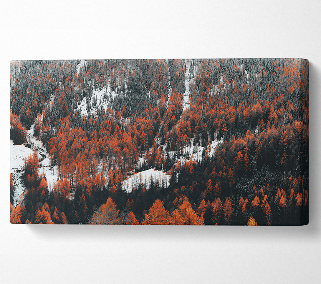  A Canvas Print of Orange Winter Forest Canvas Print