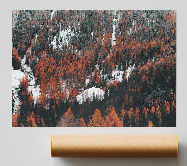 Orange Winter Forest Print