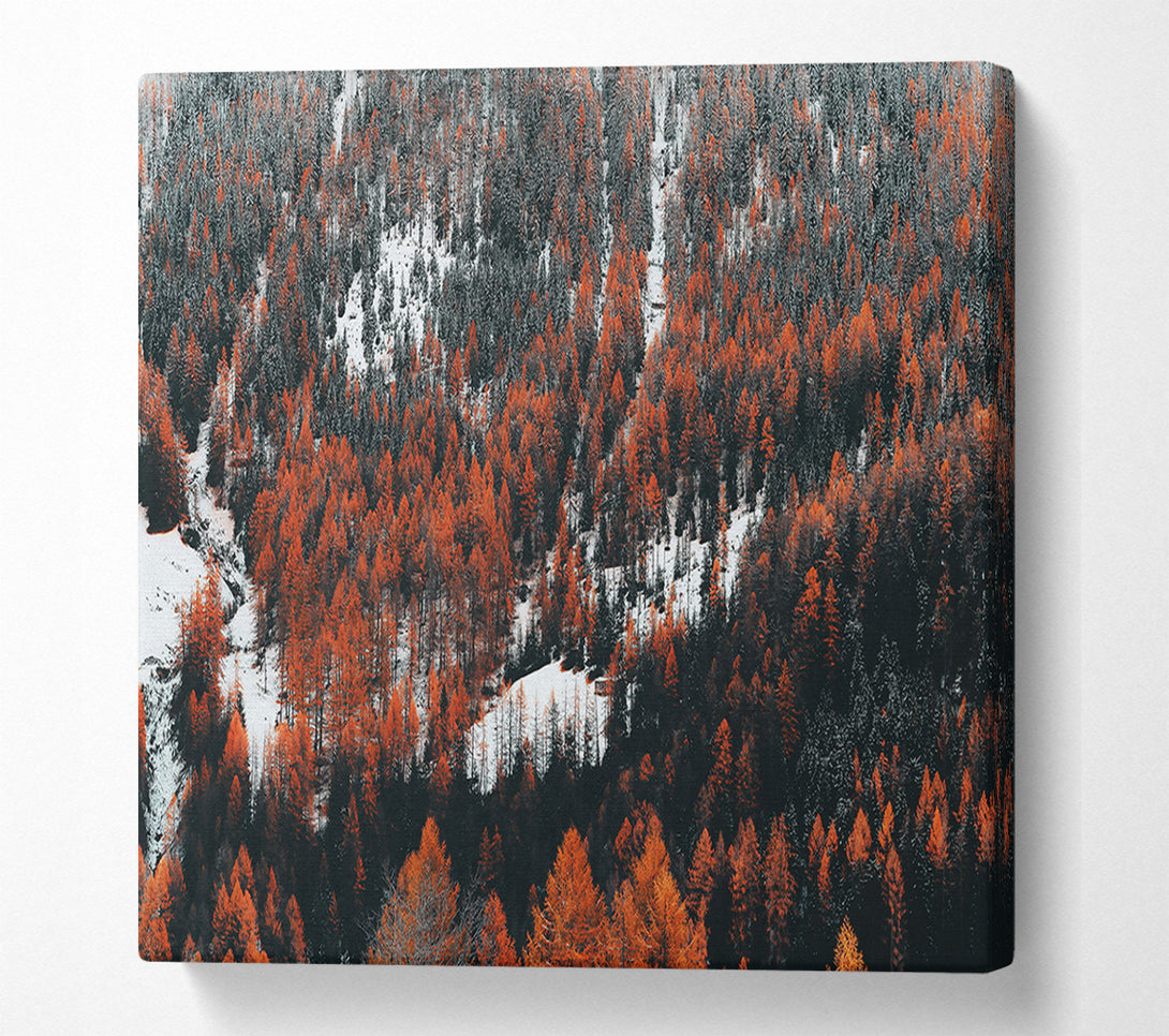  A Canvas Print of Orange Winter Forest Canvas Print