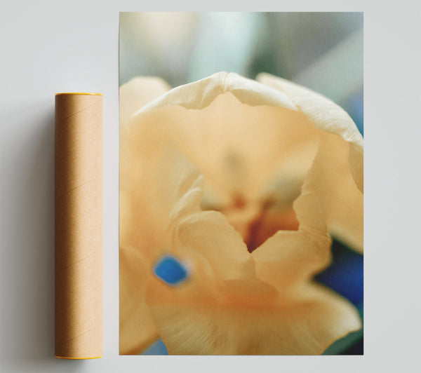 Creamy Petal Bloom Giclee Print
