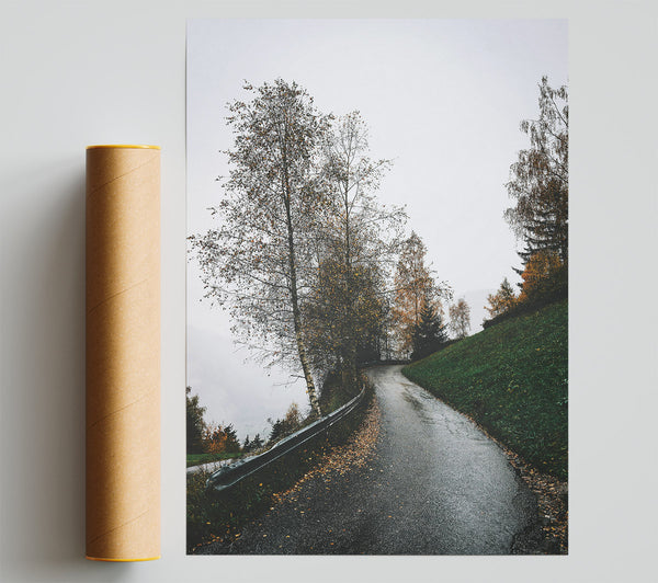 Green Road To Fog Giclee Print