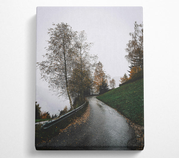 Green Road To Fog Canvas Art