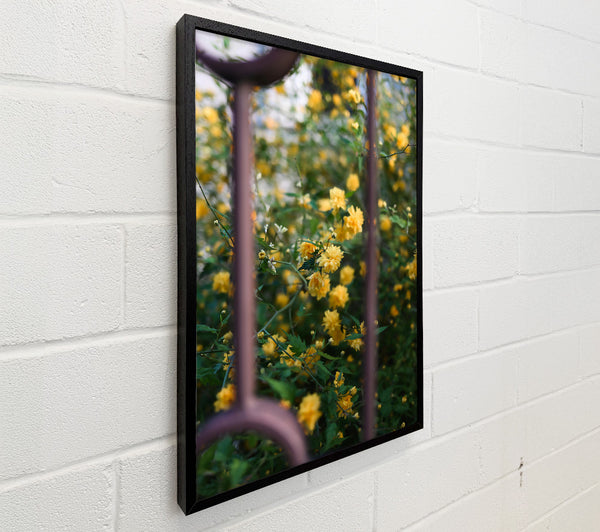 Golden Bloom Through Iron