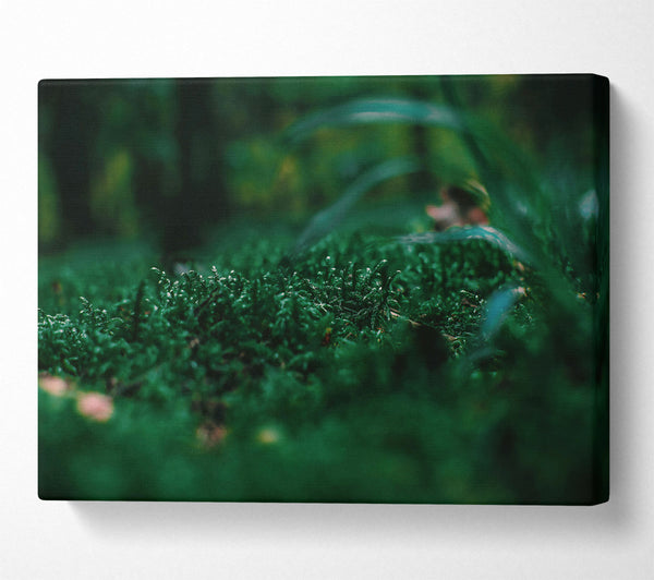 Emerald Green Moss Canvas Print
