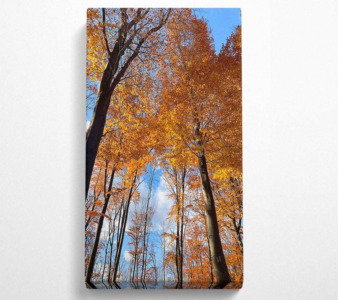  A Canvas Print of Golden Canopy Skyward Canvas Art