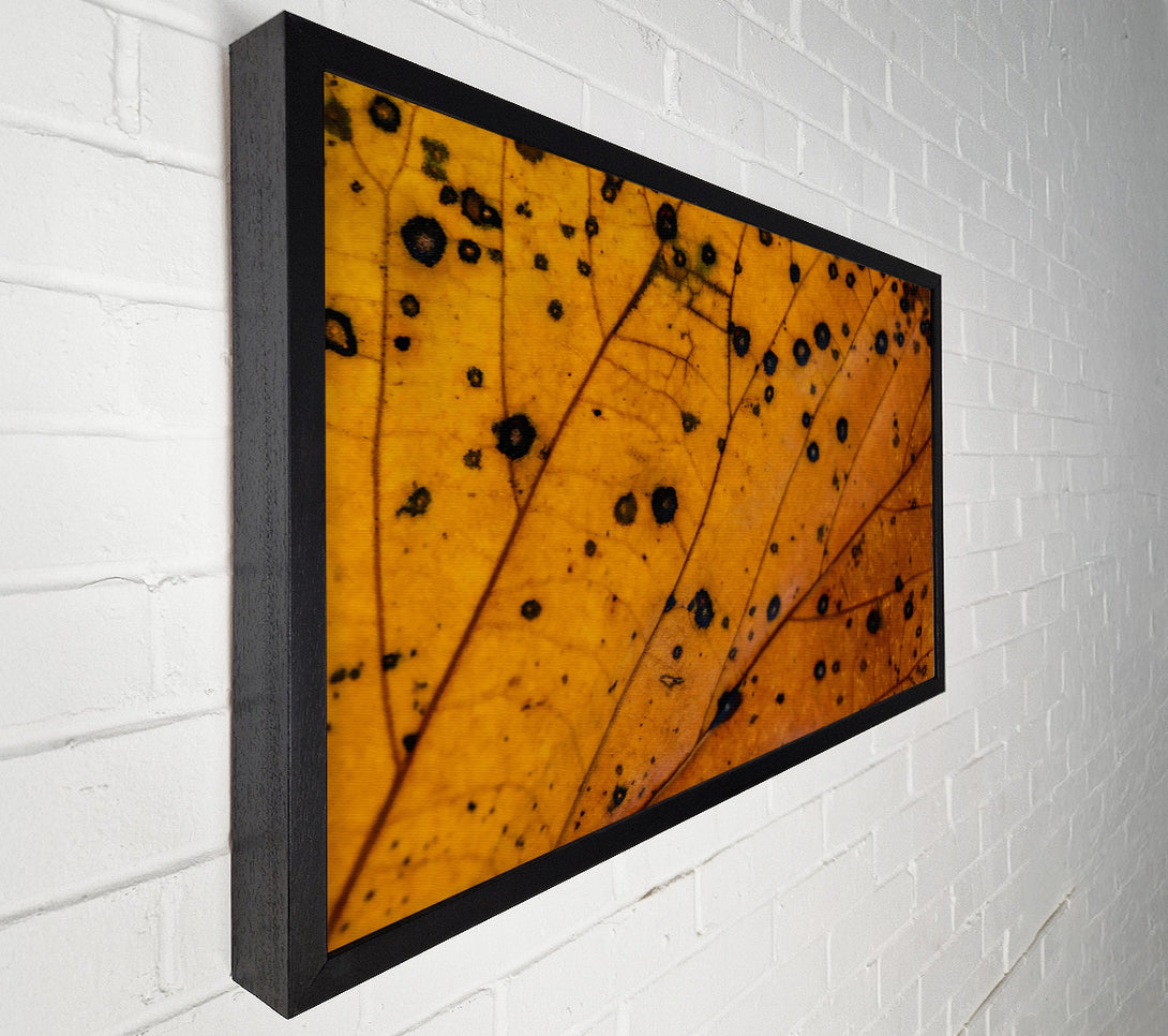  A Canvas Print of Golden Leaf Veins Canvas Wall Art