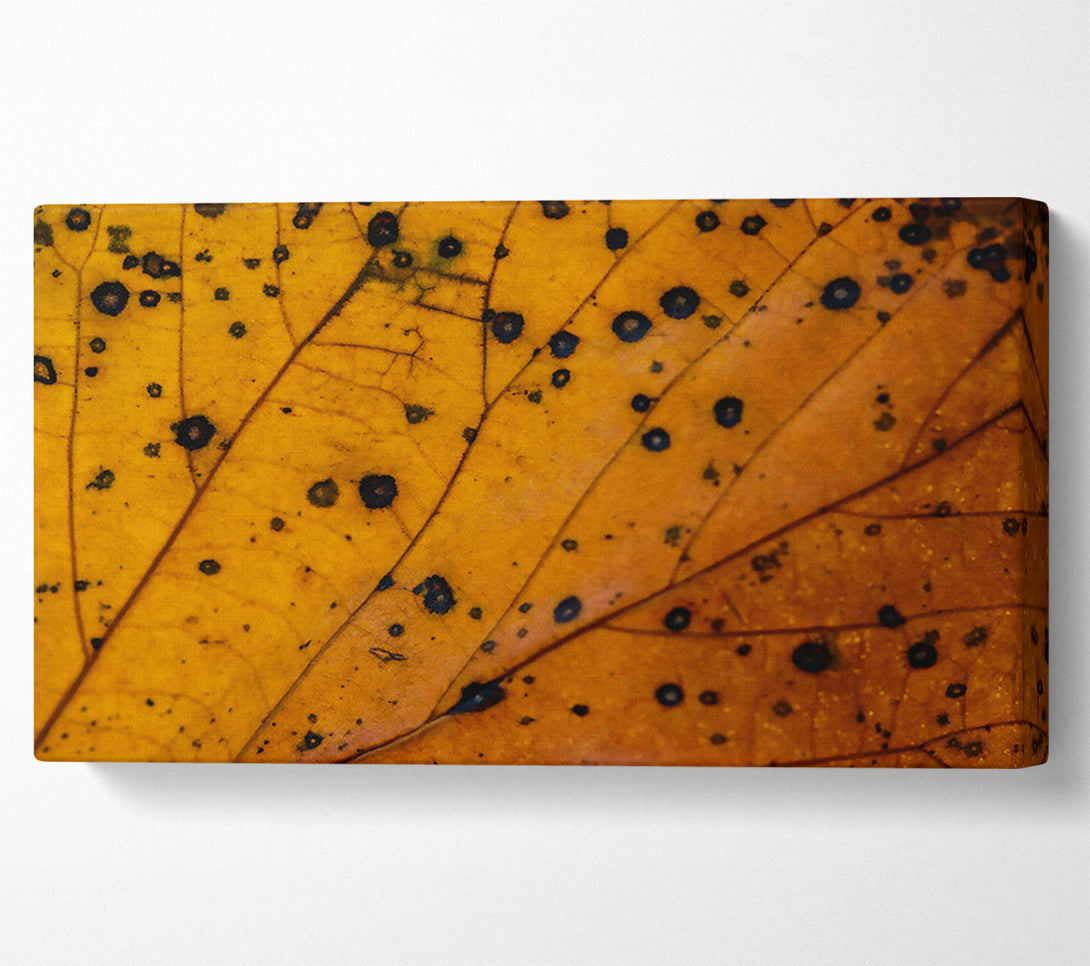  A Canvas Print of Golden Leaf Veins Canvas Wall Art