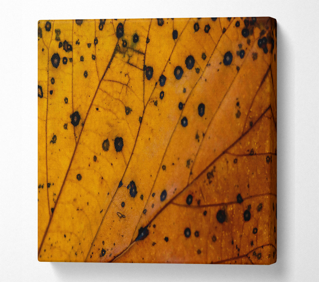 A Canvas Print of Golden Leaf Veins Canvas Wall Art