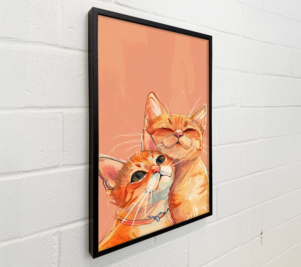 Orange Cat Companionship