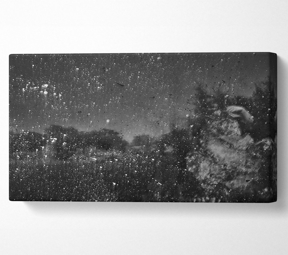  A Canvas Print of White Specks Of Night Canvas Wall Art