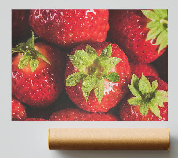 Red Berry Dewdrops Print