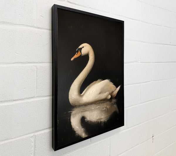 White Swan On Black Water