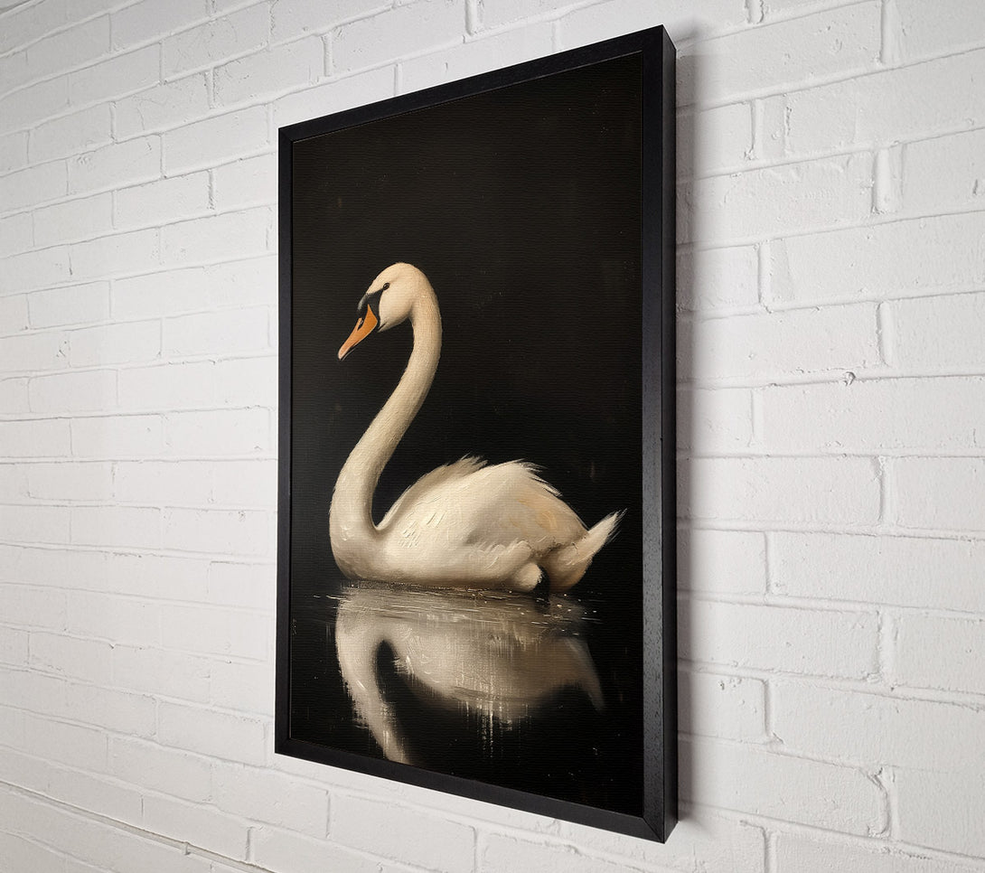  A Canvas Print of White Swan On Black Water Canvas Print