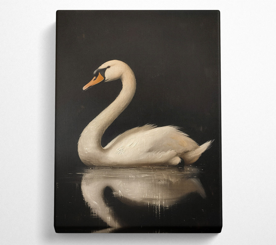  A Canvas Print of White Swan On Black Water Canvas Print