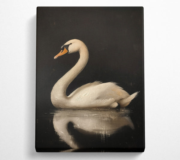  A Canvas Print of White Swan On Black Water Canvas Print