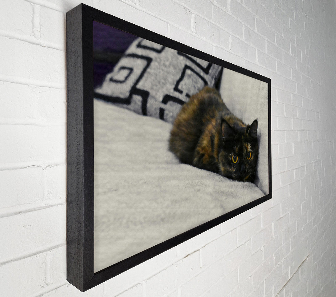  A Canvas Print of Black And Orange Gaze Canvas Art