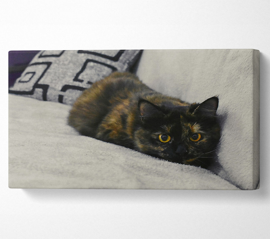  A Canvas Print of Black And Orange Gaze Canvas Art