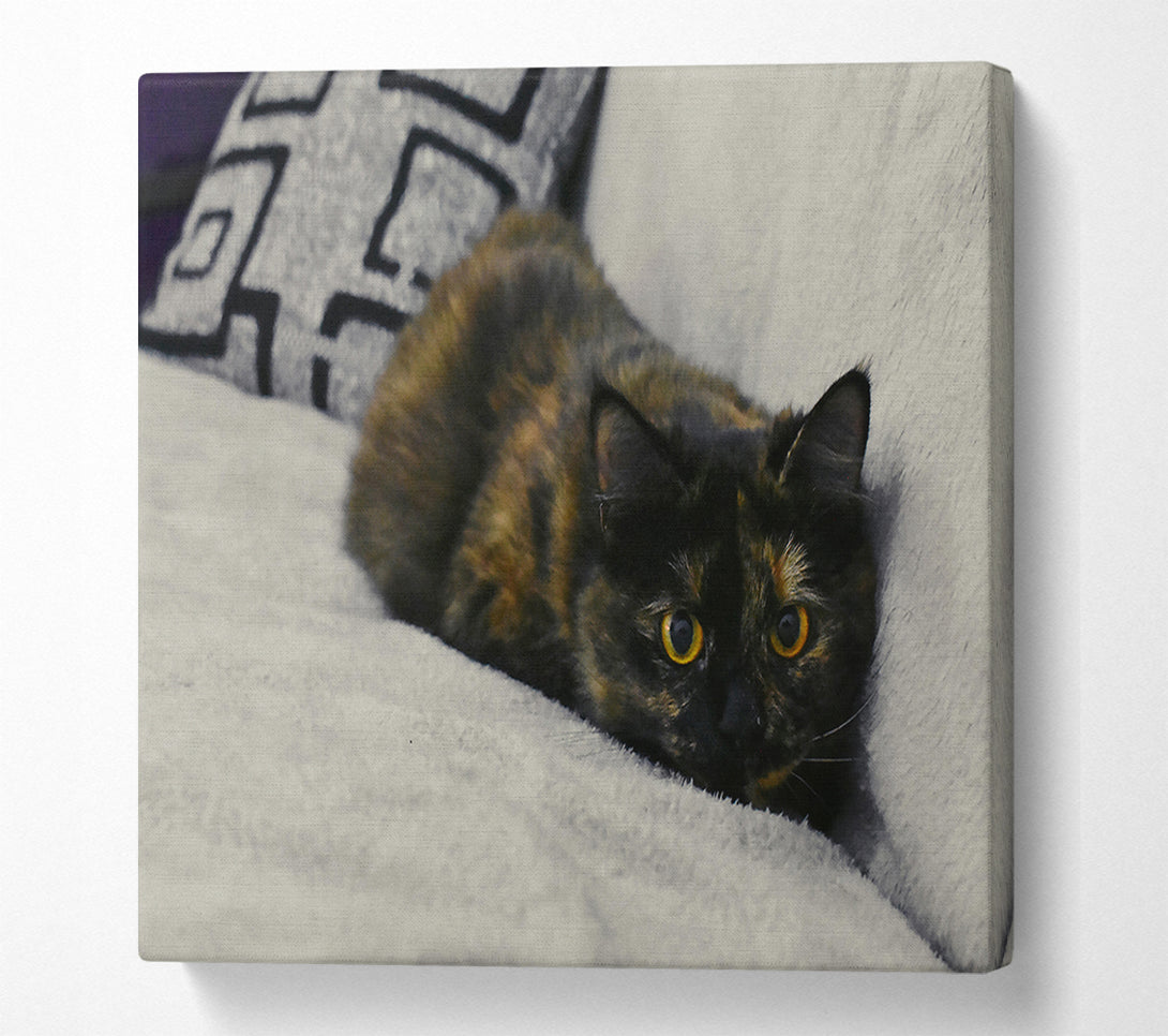  A Canvas Print of Black And Orange Gaze Canvas Art