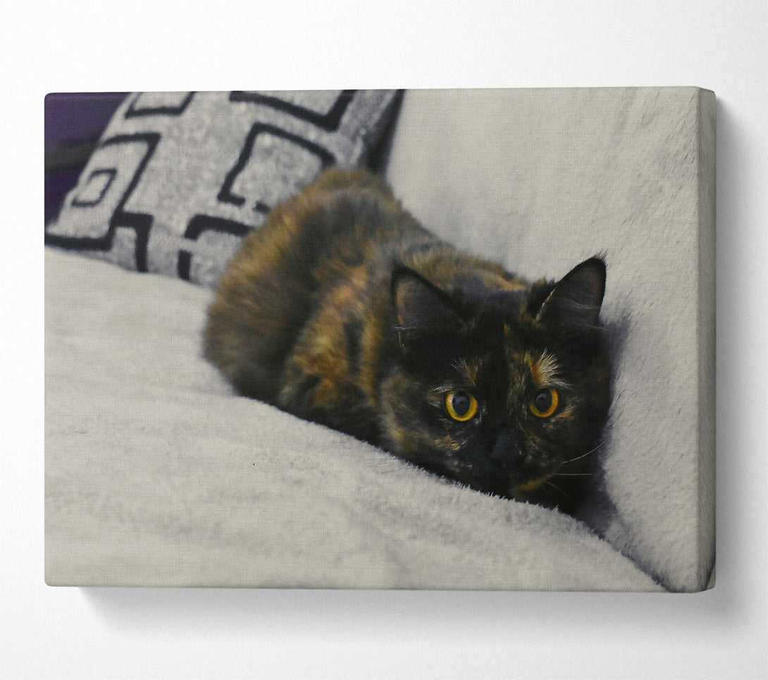  A Canvas Print of Black And Orange Gaze Canvas Art