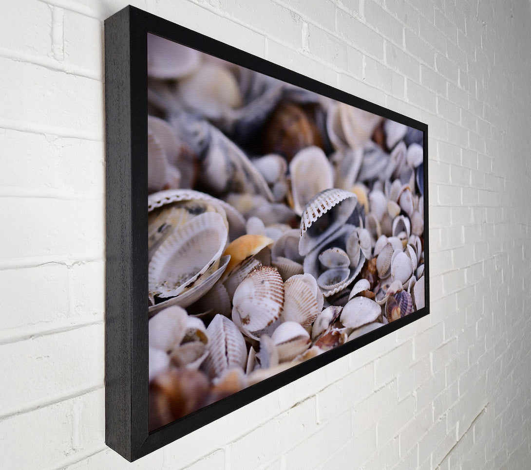  A Canvas Print of White Seashell Symphony Canvas Wall Art