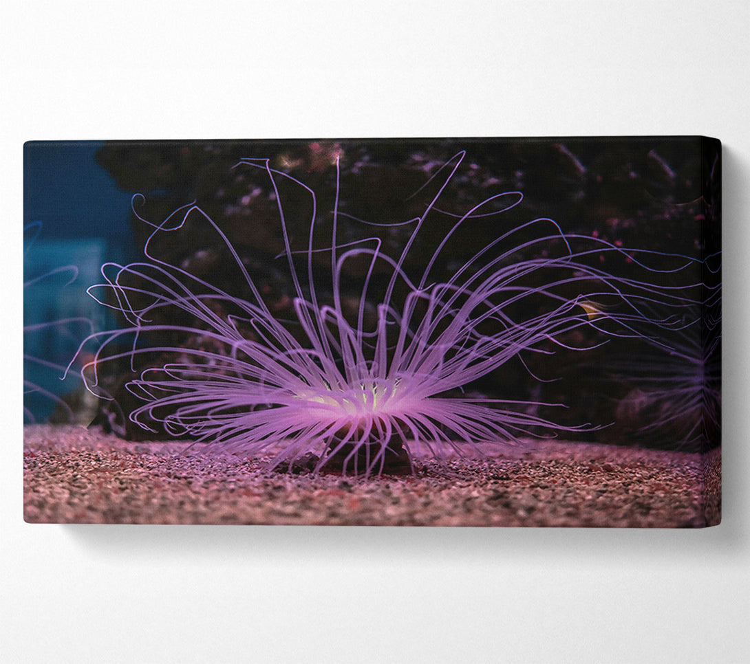  A Canvas Print of Lavender Sea Bloom Canvas Art